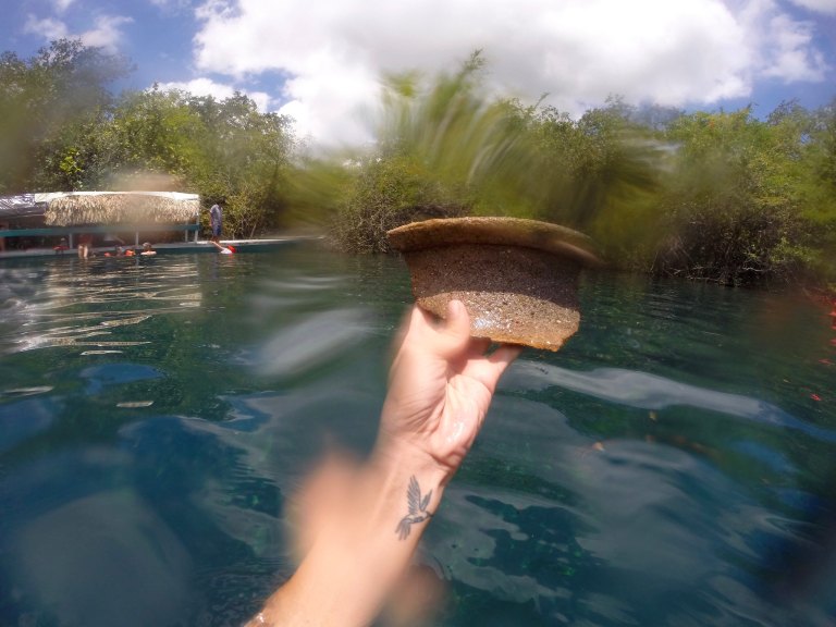 30550321595_b55419089a_k